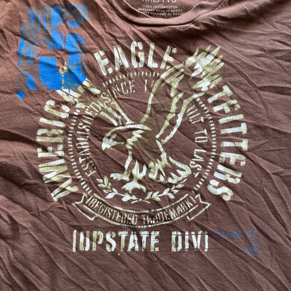 American Eagle Outfitters Brown and Blue Graphic Tee